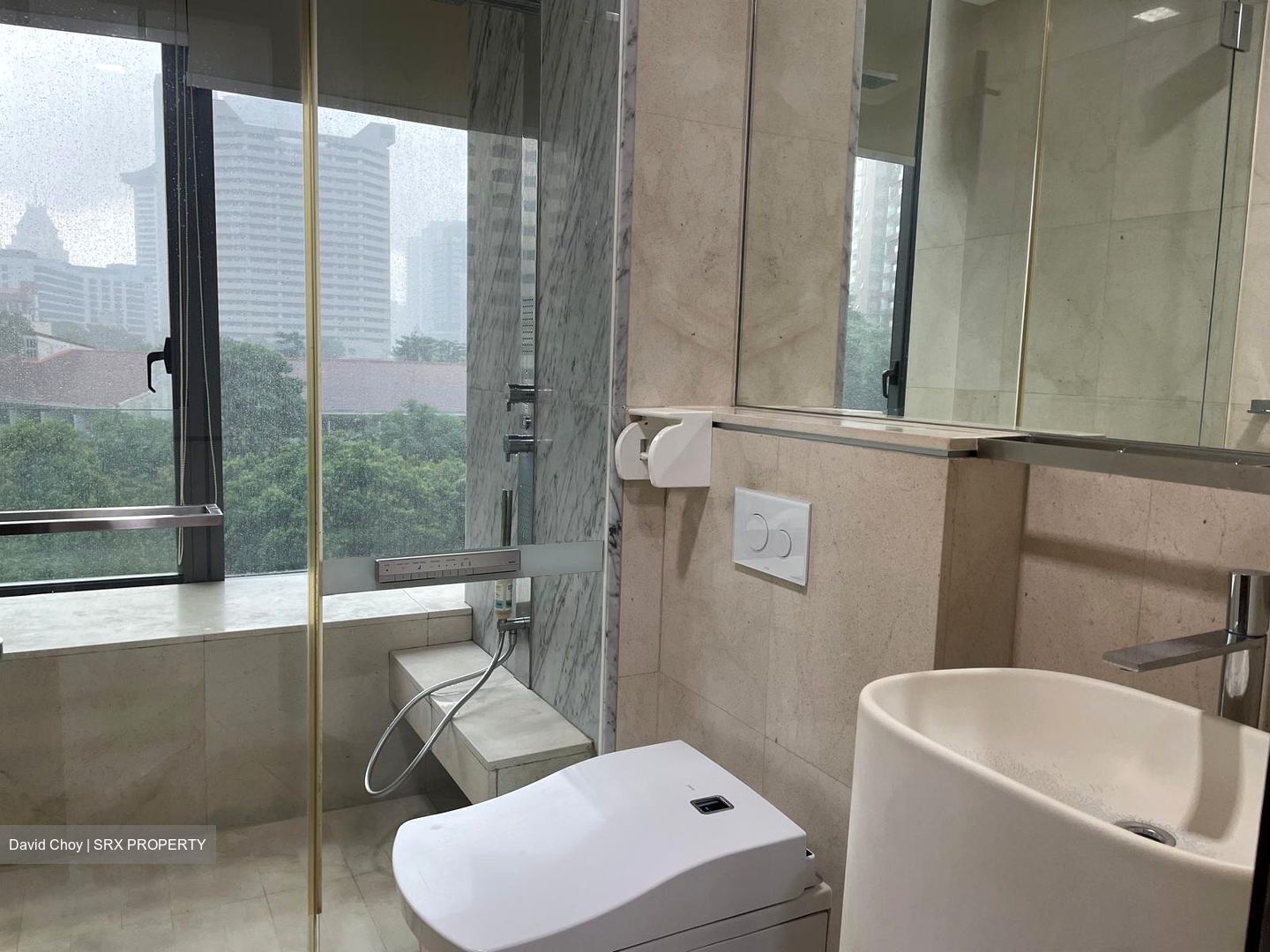 The Scotts Tower (D9), Condominium #448212331